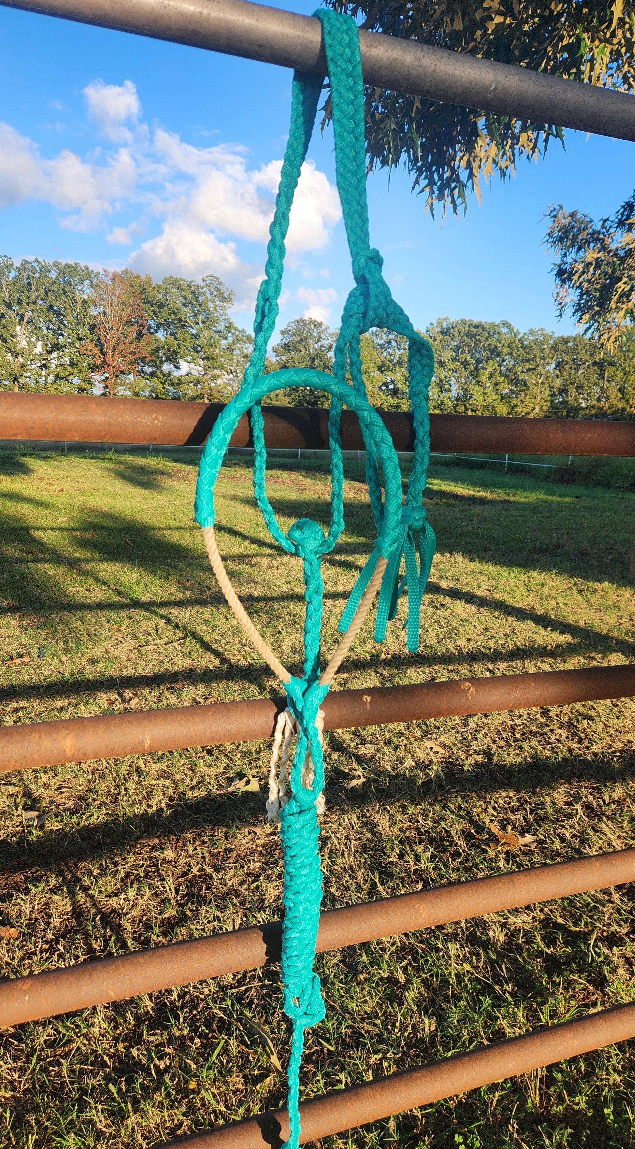 LARIAT MULE TAPE HALTER WITH 8FT LEAD (TURQUOISE)